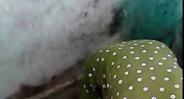 sex không che bắn tinh Một phụ nữ trẻ fucks trong ass sex mỹ đen với một ông già.